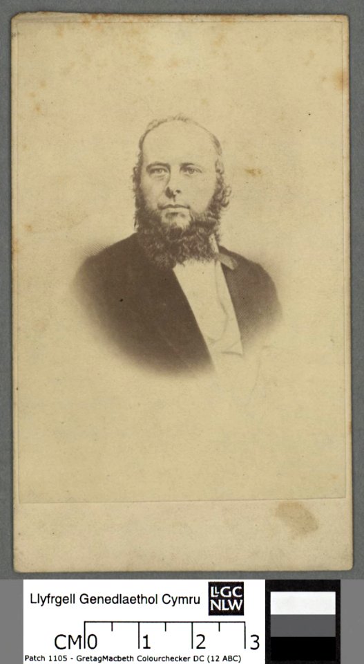 Portrait of Owain Alaw (4670427)