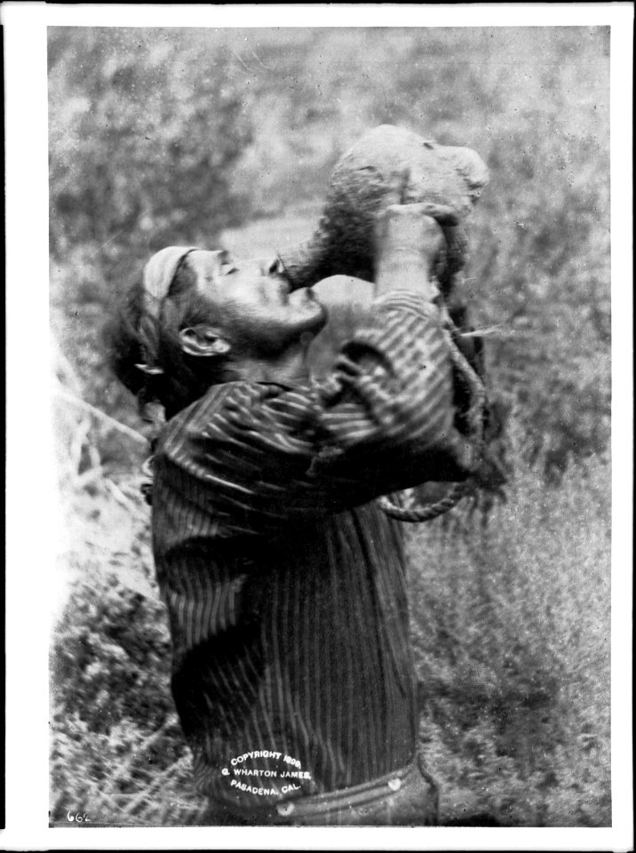 Portrait of Singela, a Havasupai man, drinking from an esua ca.1899 (CHS-4700)