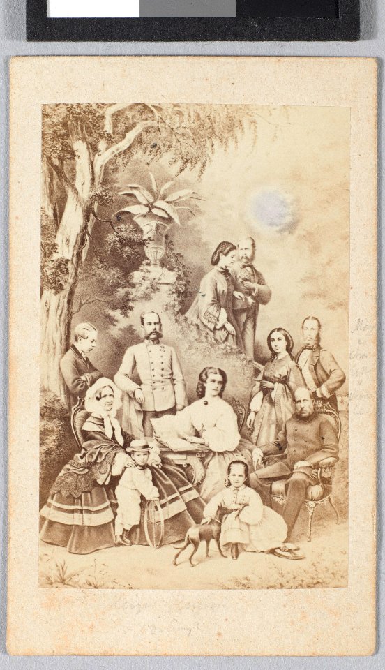 Portret met stamboom keizerlijke familie Oostenrijk, objectnr KA 6895.17
