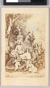 Portret met stamboom keizerlijke familie Oostenrijk, objectnr KA 6895.17