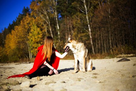 Friendship dog Free photos photo