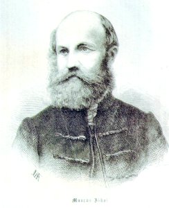 Portrait of Mór Jókai 1869-70 photo