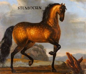 Porträtt från cirka 1650 på brun apelkastad häst - Skoklosters slott - 95246