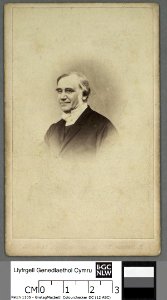 Portrait of Dr. William Rees, 'Gwilym Hiraethog' (4670483)