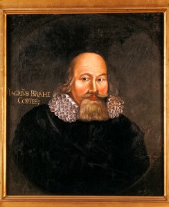 Porträtt. Magnus Brahe - Skoklosters slott - 30577