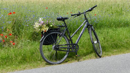 Meadow flowers cycling