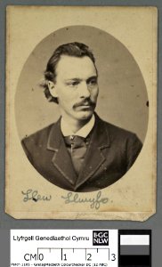 Portrait of Llew Llwyfo (4670382)