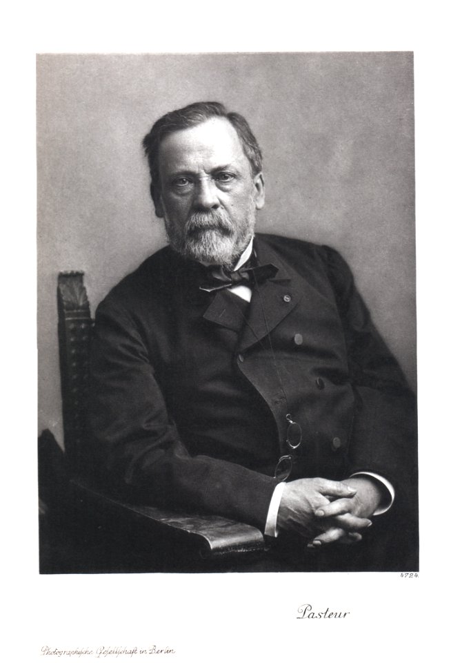 Portrait of Louis Pasteur (1822-1895), Chemist (2551040609)