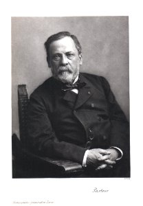 Portrait of Louis Pasteur (1822-1895), Chemist (2551040609) photo