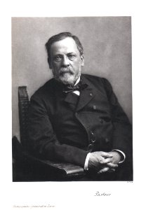 Portrait of Louis Pasteur (1822-1895), Chemist (2551040609)