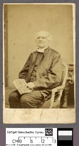 Portrait of Rev. Henry Rees (4670472)