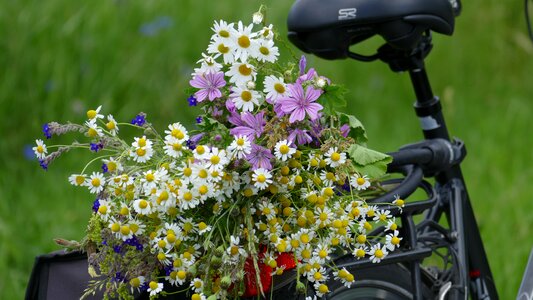 More nature bouquet