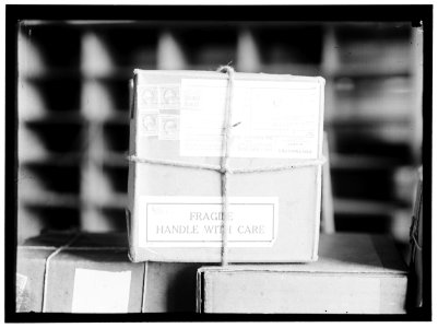 POST OFFICE DEPARTMENT. PARCEL POST LCCN2016865844