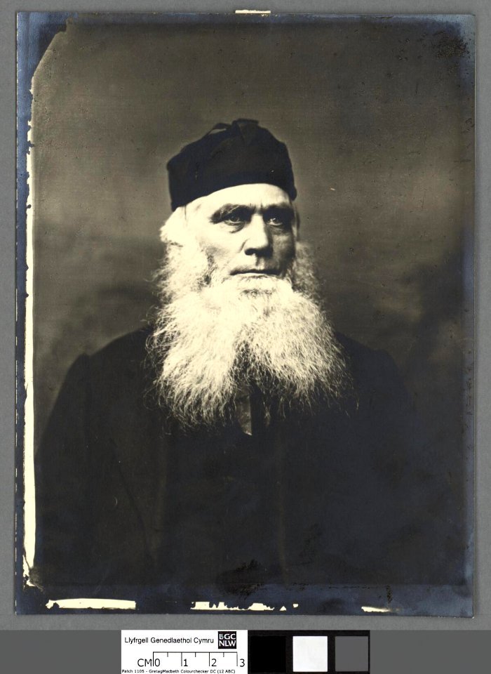 Portrait of The Reverend Robert Ellis, 'Cynddelw' (4670968)