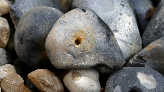 Nature beach background