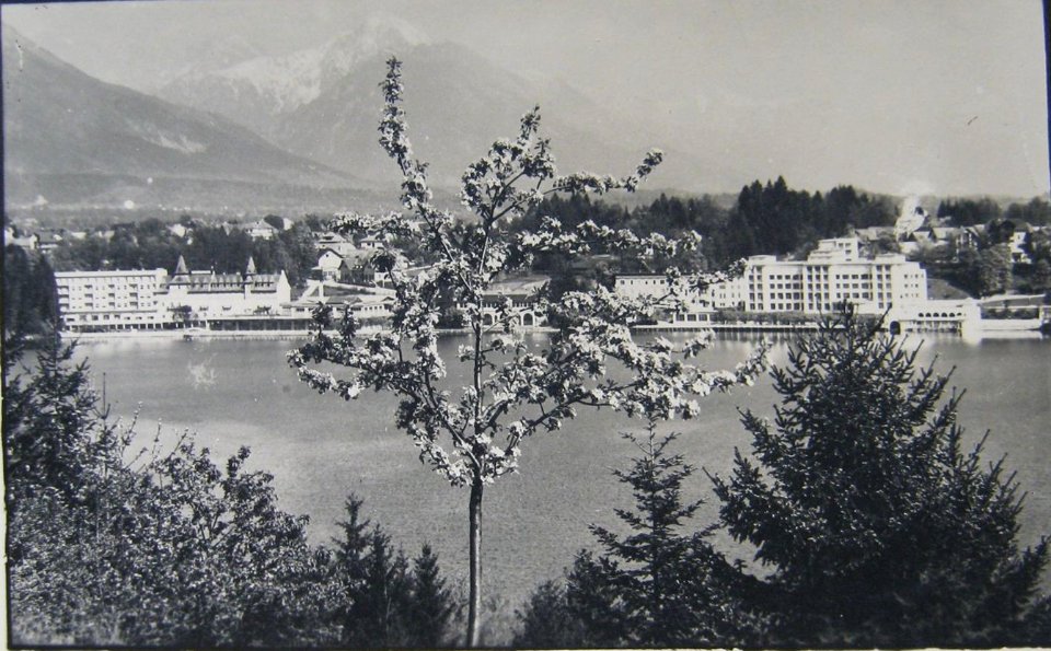 Postcard of Bled 1951