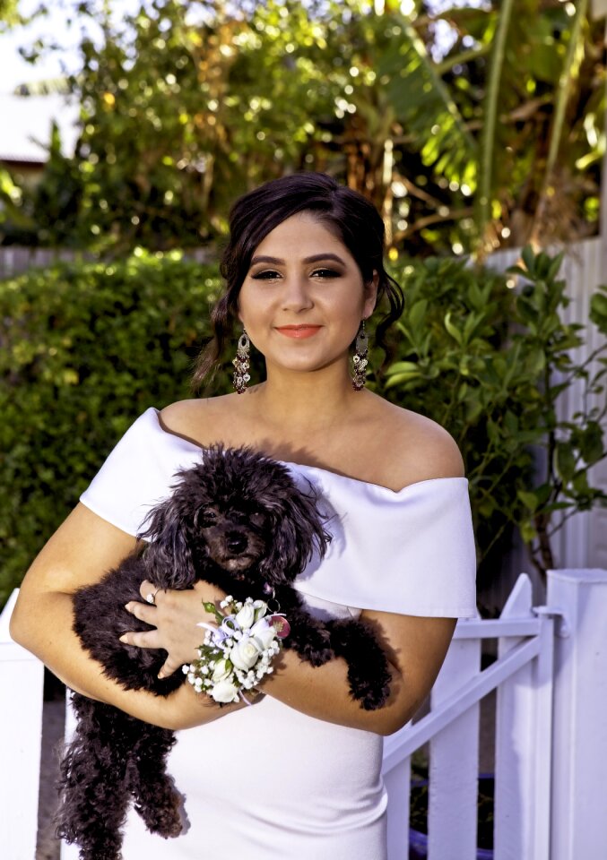 Townsville formal occasion townsville girl with her dog