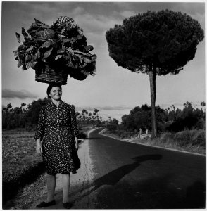 Portugal. A peasant woman carries her truck-garden produce on her head - and the load looks as big as a small tree - NARA - 541750 photo