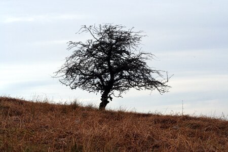 Hill landscape nature