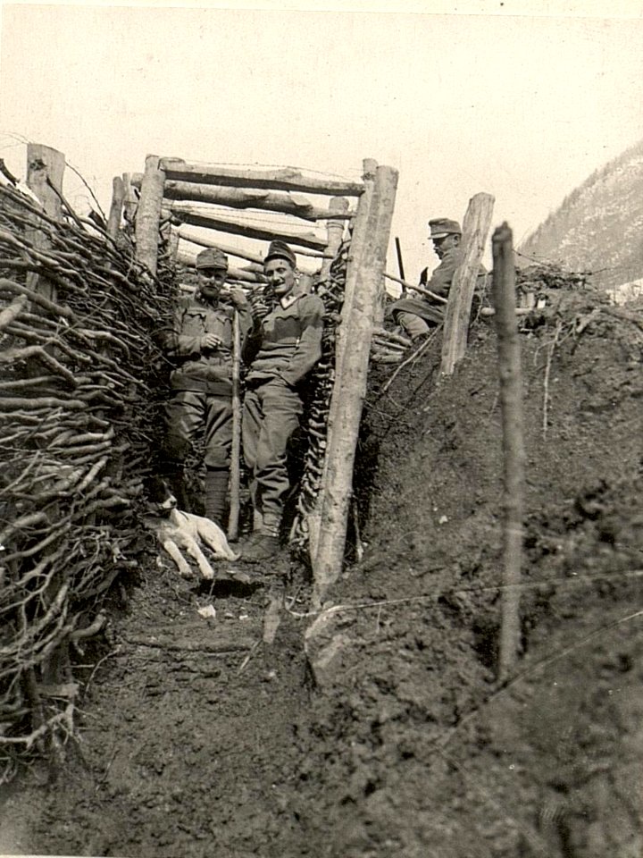Posten mit Wachhund auf Kote 806, aufgenommen am 21.IV.1916 (BildID 15473437)