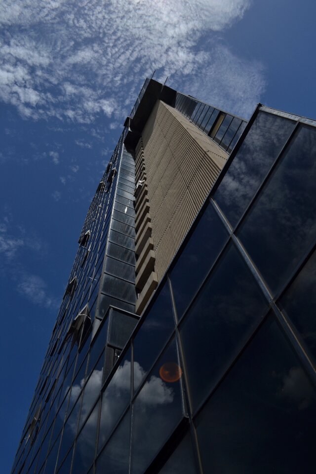 Camoruco glass day
