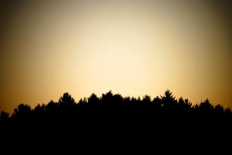 Silhouette sky dusk