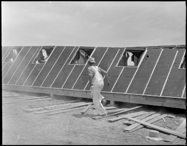 Poston, Arizona. Side of barracks being set in place in the construction of housing for evacuees of . . . - NARA - 536295