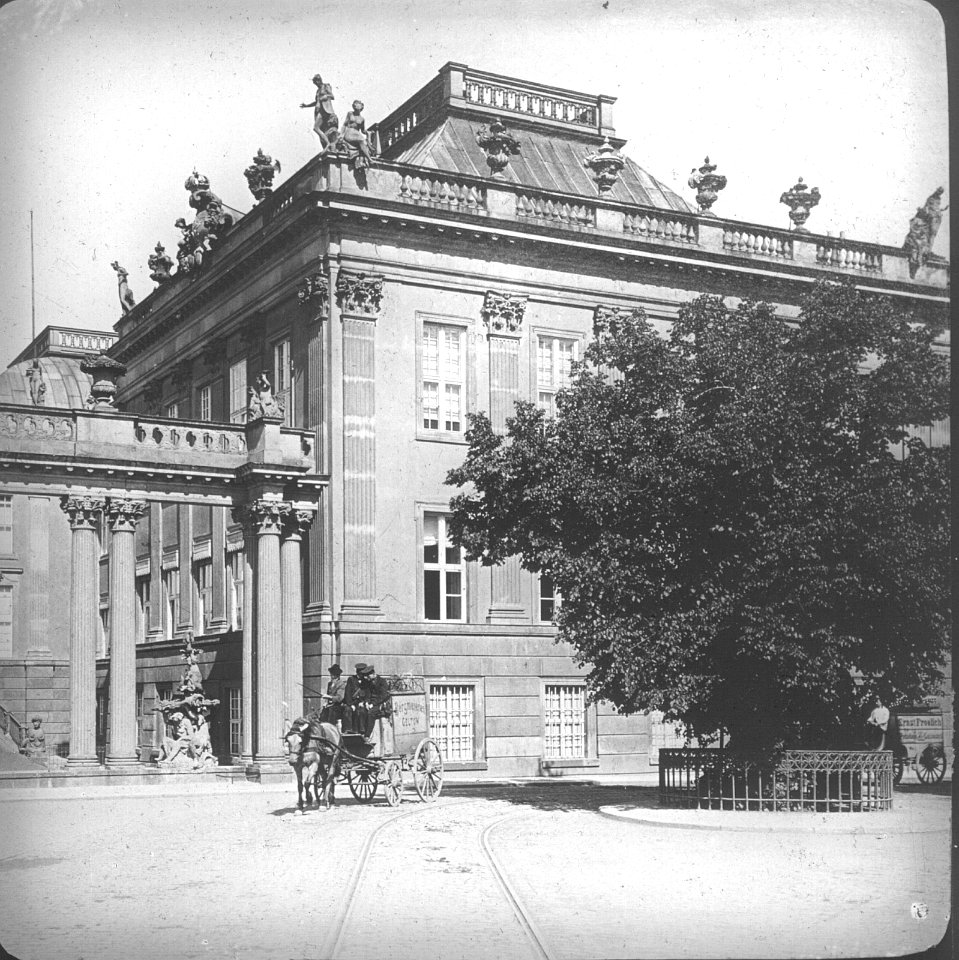 Potsdam Stadtschloss, Lustgartenseite mit Bittschriftenlinde