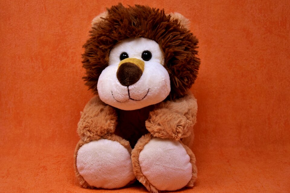 Teddy bear toys play