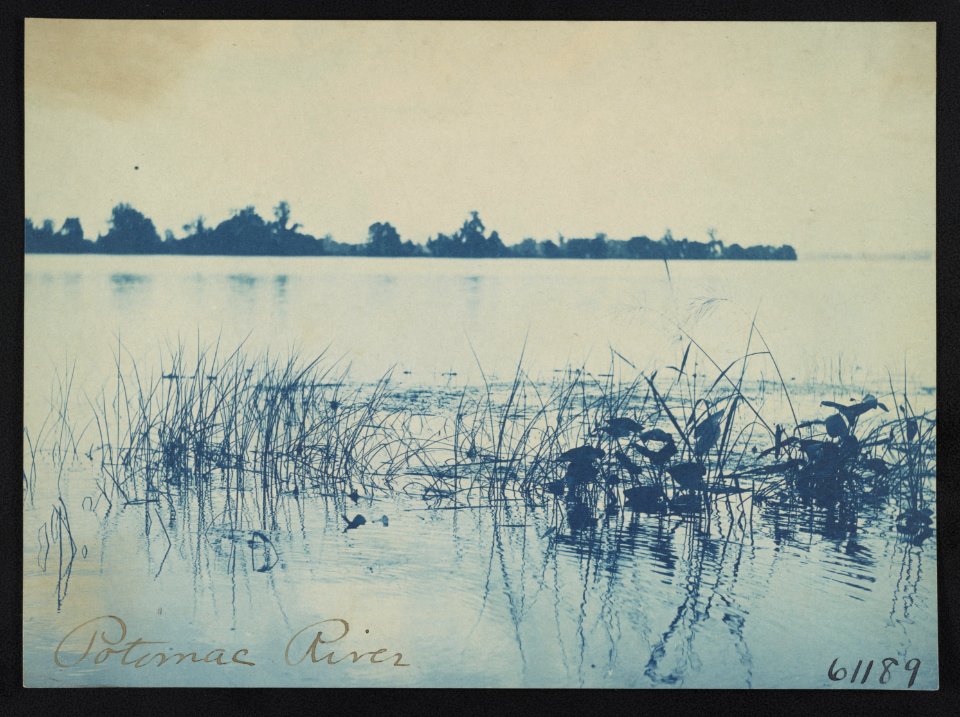 Potomac River LCCN2011648403