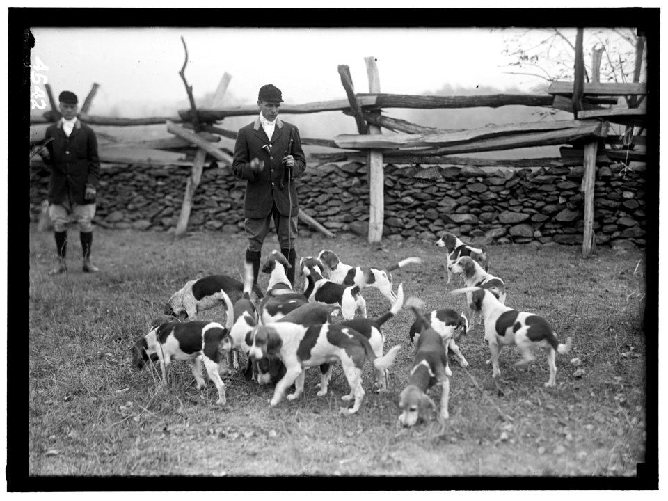 POST, GEORGE B. OF WALL STREET. HIS SOMERSET PACK LCCN2016865909