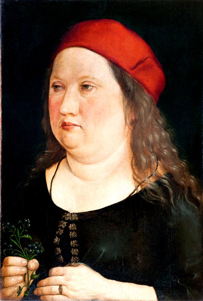 Porträtt. Striegel - Skoklosters slott - 88956
