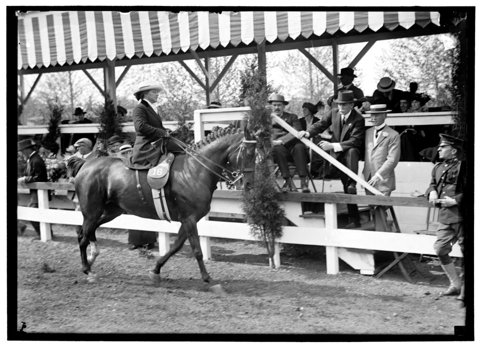 POTTS, MRS. ALAN. HORSE SHOW LCCN2016865457