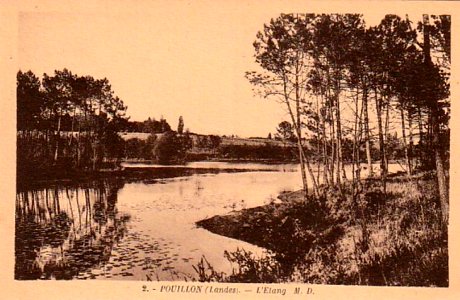 Pouillon (Landes) - Etang 1a