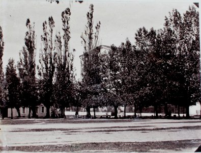 Połacak, Rynak. Полацак, Рынак (1889-91)