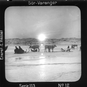 Postskip ventes i midnattsol i midten av mai ved iskanten utenfor Kirkenes, Sør-Varanger, Finnmark - Norsk folkemuseum - NF.15205-012
