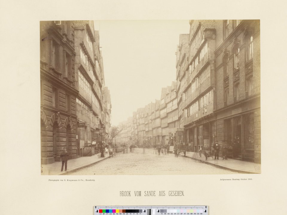 PPN799327638 Hamburg 1883 Hinter den Boden vom Sande aus gesehen (1883)