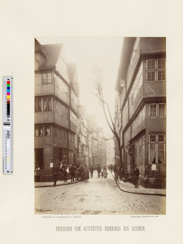 PPN799327638 Hamburg 1883 Eingang in die Strasse beim Winserbaum (1883)