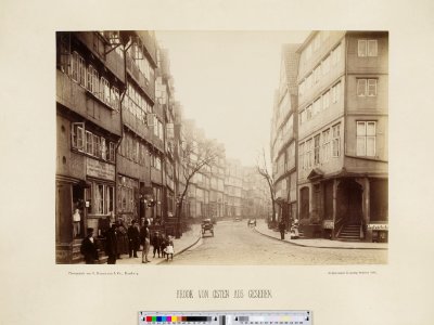 PPN799327638 Hamburg 1883 Kleines Fleeth vom Sandthorkai aus gesehen (1883)