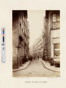 PPN799327638 Hamburg 1883 Mührenfleth östlich vom Wasserbaum bei Spenshörn (1883)