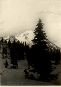 Prassniksattel + 1486. Blick nach Norden und Steinernem Jäger. (BildID 15470897)