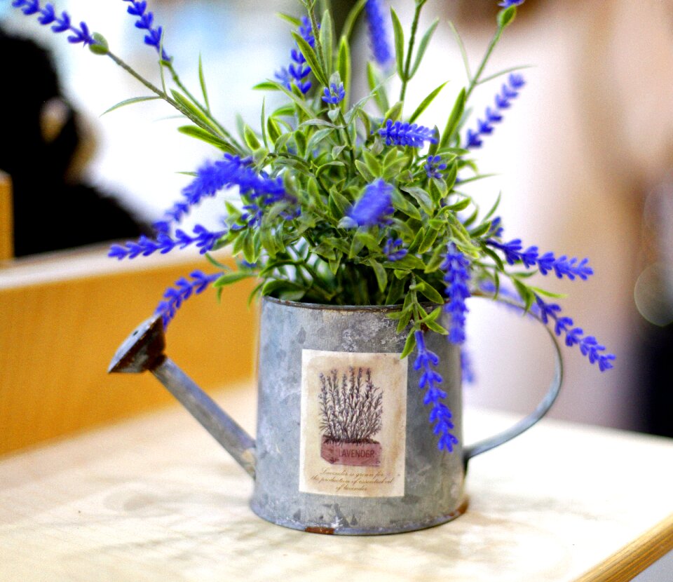 Flower nature mini potted