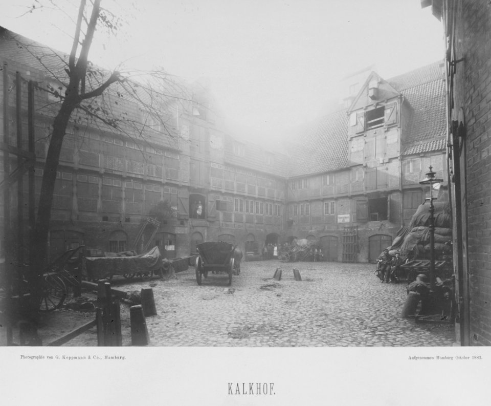 PPN799327638 Hamburg 1883 Dovenfleth und Ecke hinter der Lembkentwiete (1883)