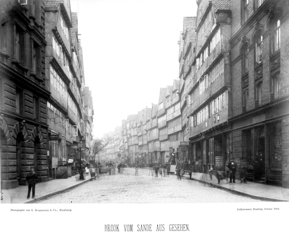 PPN799327638 Hamburg 1883 Hinter den Boden vom Sande aus gesehen (1883)