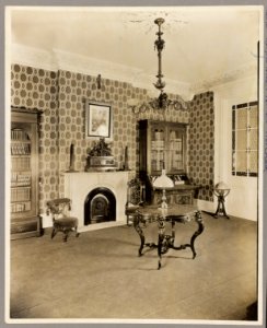 Pres. Theodore Roosevelt house, New York, library LCCN2013645486