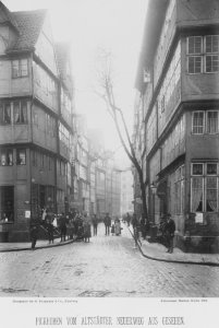 PPN799327638 Hamburg 1883 Eingang in die Strasse beim Winserbaum (1883)