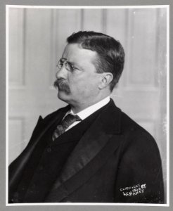 Pres. Theodore Roosevelt, head-and-shoulders portrait, facing left LCCN2013648188