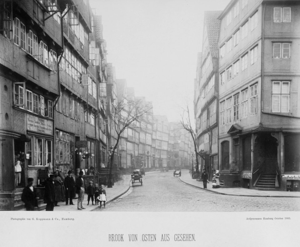 PPN799327638 Hamburg 1883 Kleines Fleeth vom Sandthorkai aus gesehen (1883)
