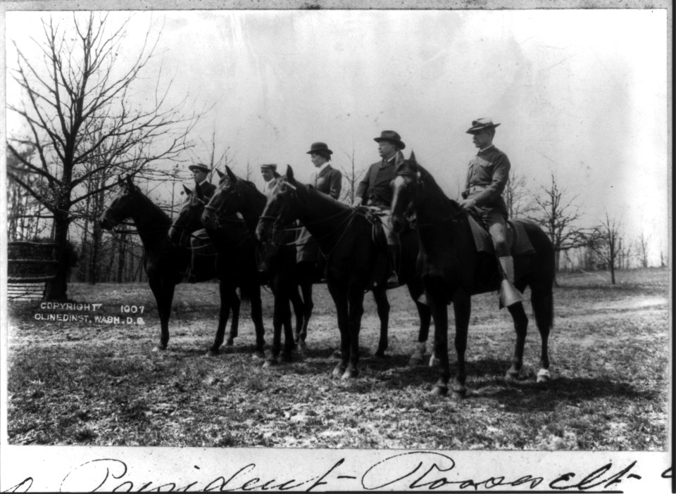 Pres. Roosevelt and party LCCN2010645453