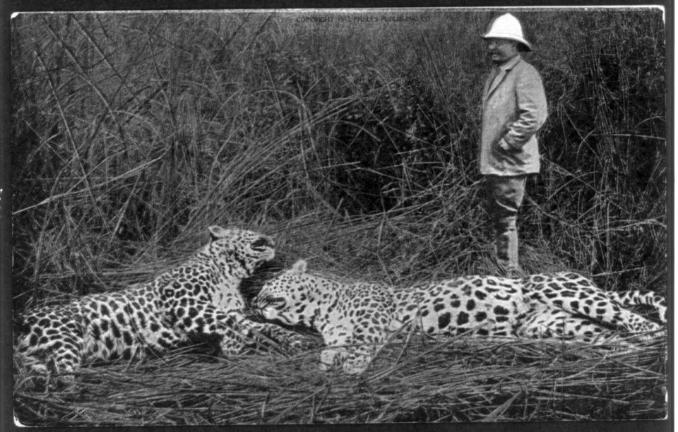 Pres. Theodore Roosevelt in Africa- Kermit Roosevelt's narrow escape LCCN2003680256